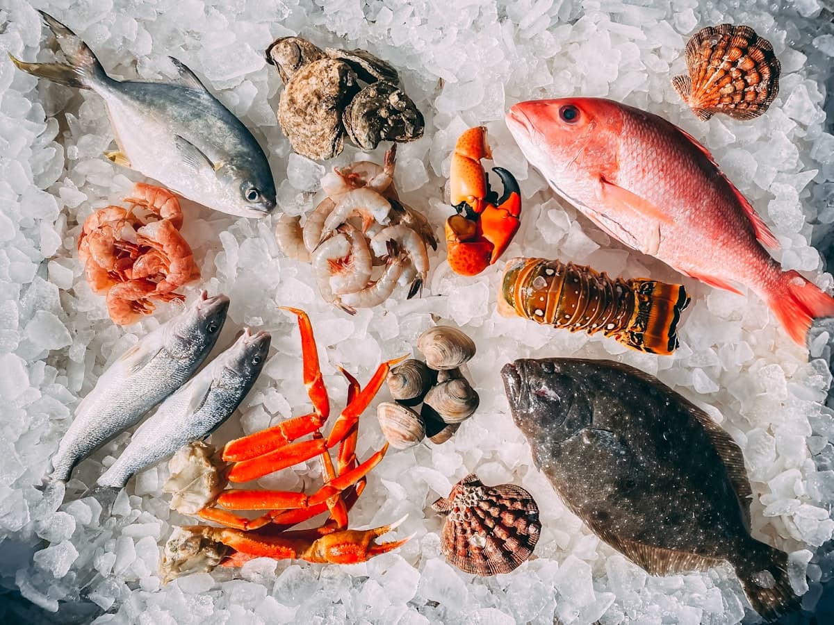 Elegant oyster bar plating with fresh seafood on ice representing Boston's thriving dining scene