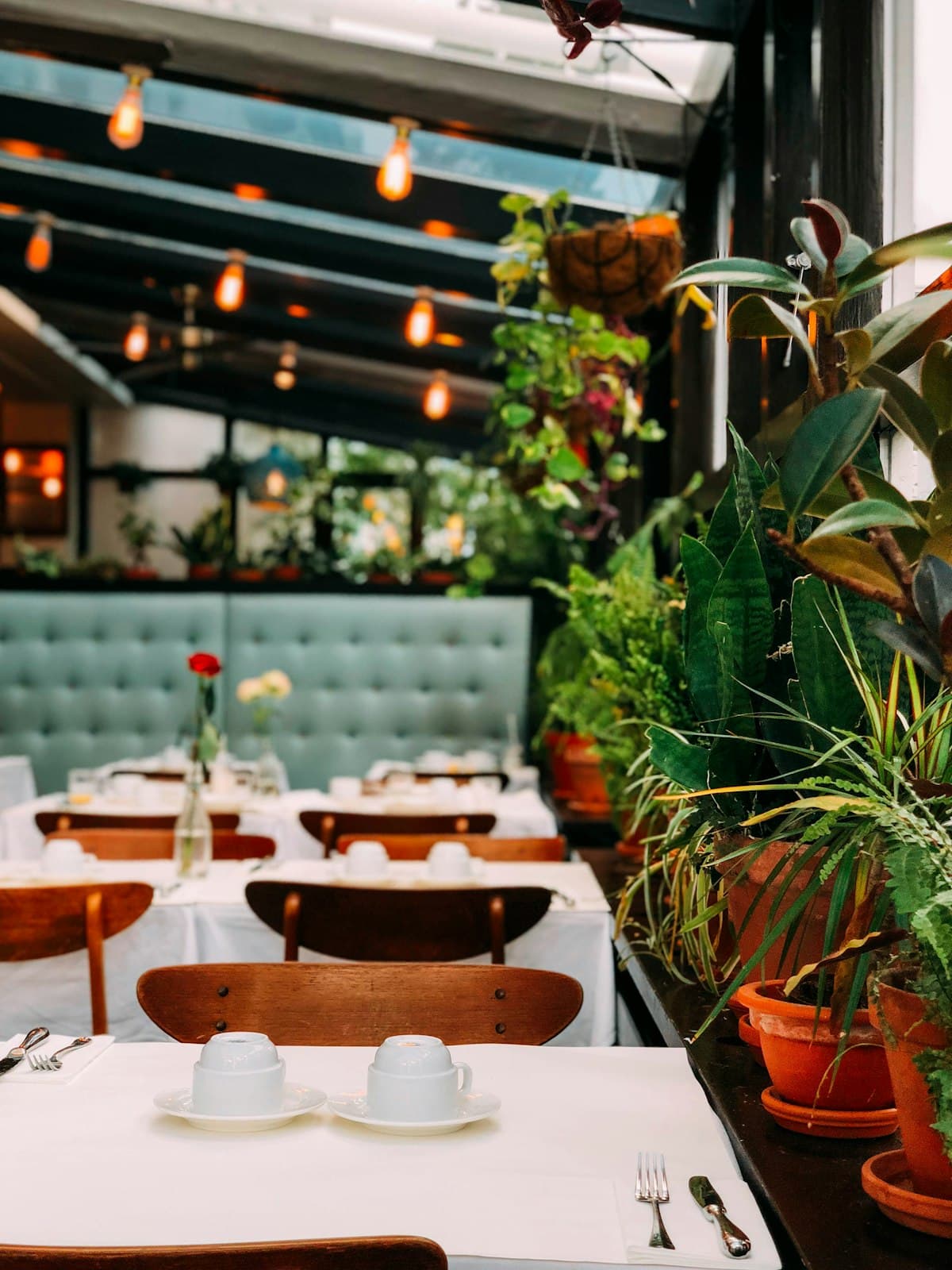 Elegant restaurant interior with warm lighting and wooden furnishings in New York City